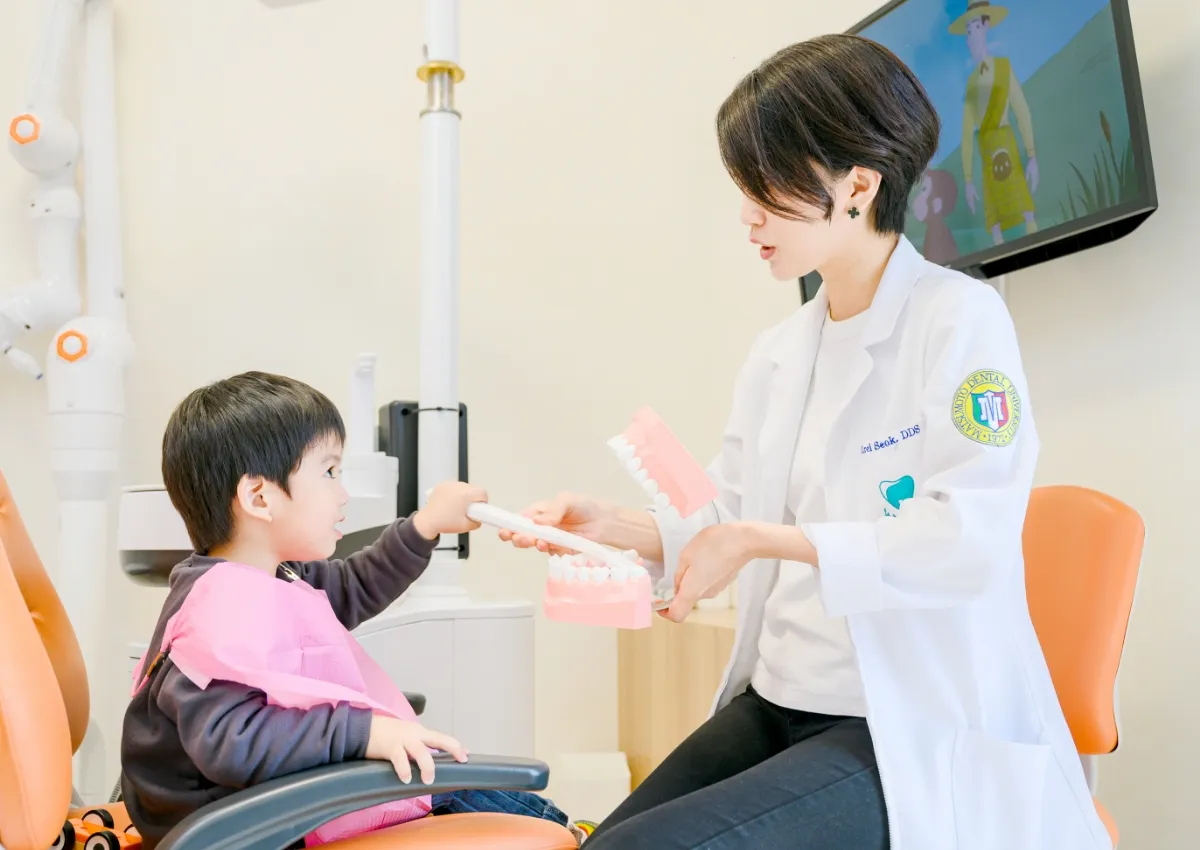 生えてきたばかりの乳歯は虫歯になりやすく進行が早い