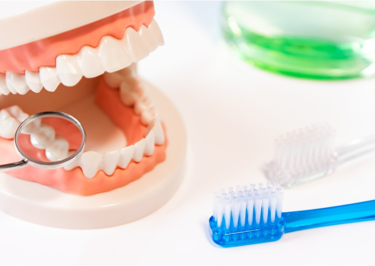 虫歯予防の知識を身につけよう